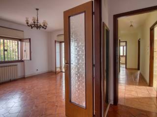 Ingresso