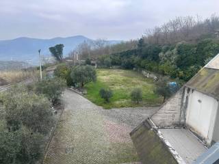Vista