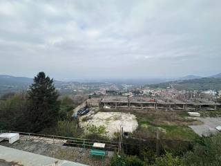 Vista