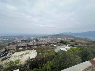Vista