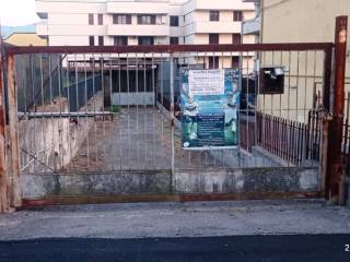 Ingresso
