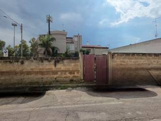 Zona
