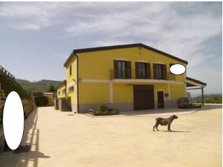 Zona
