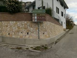 Zona