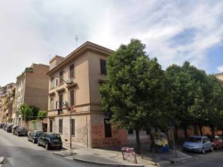 Zona