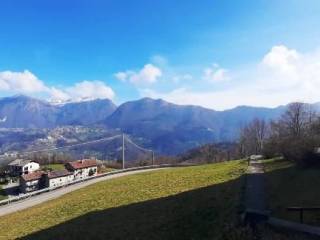 Vista