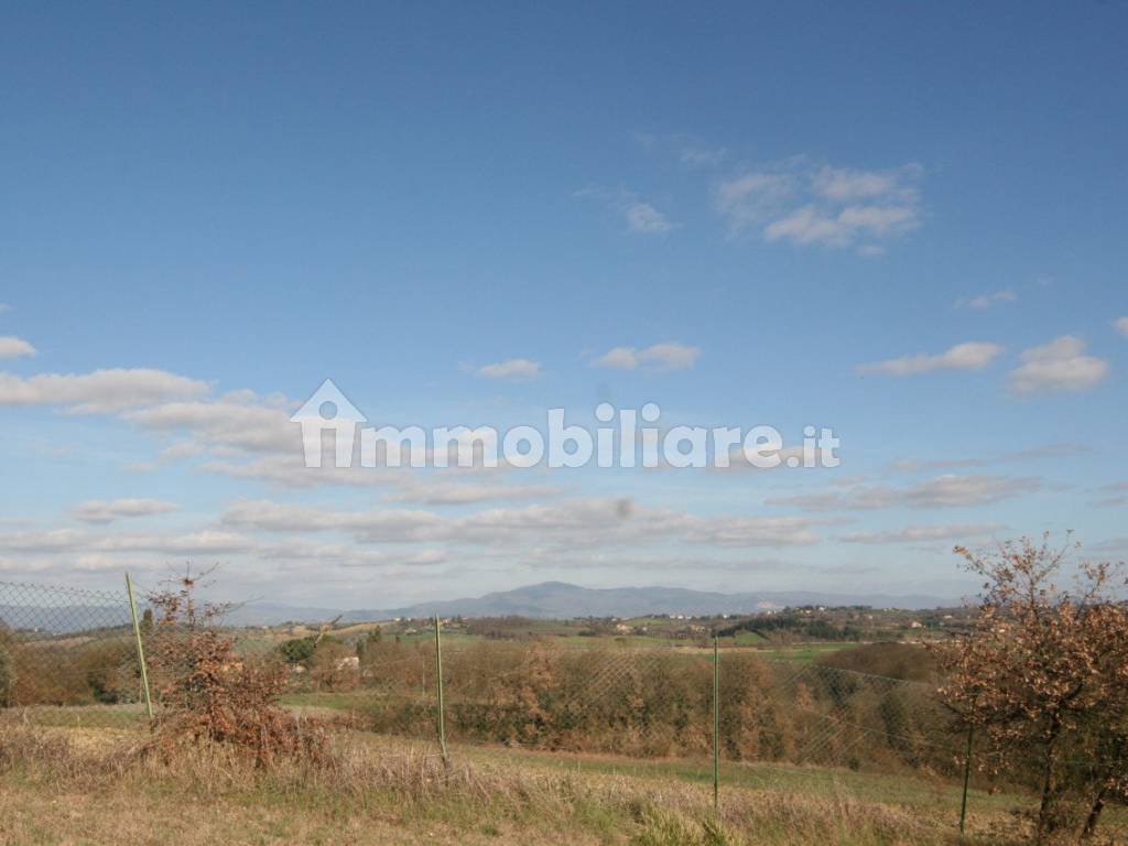 Vista