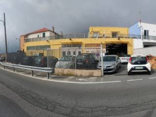 Zona