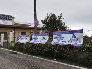 Dettagli