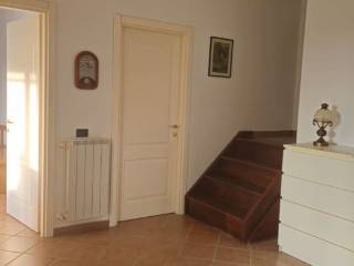 Ingresso