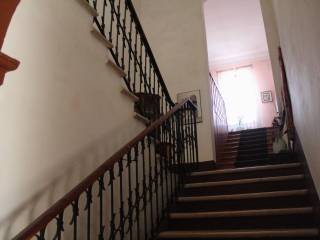 Scala