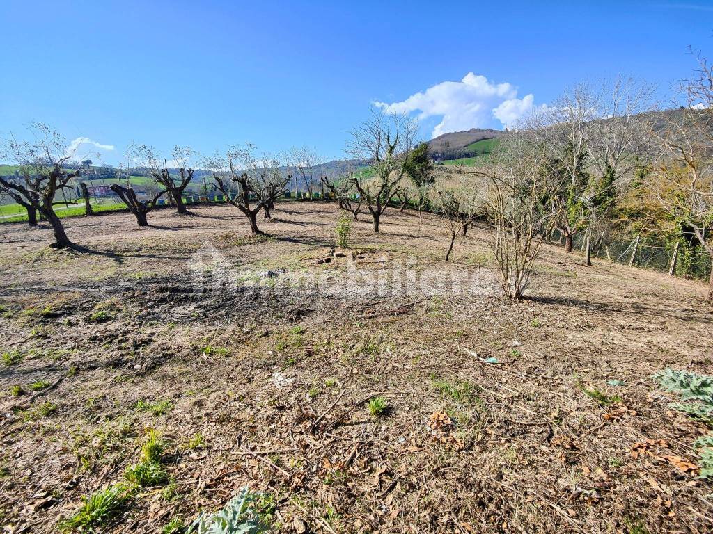 Terreno