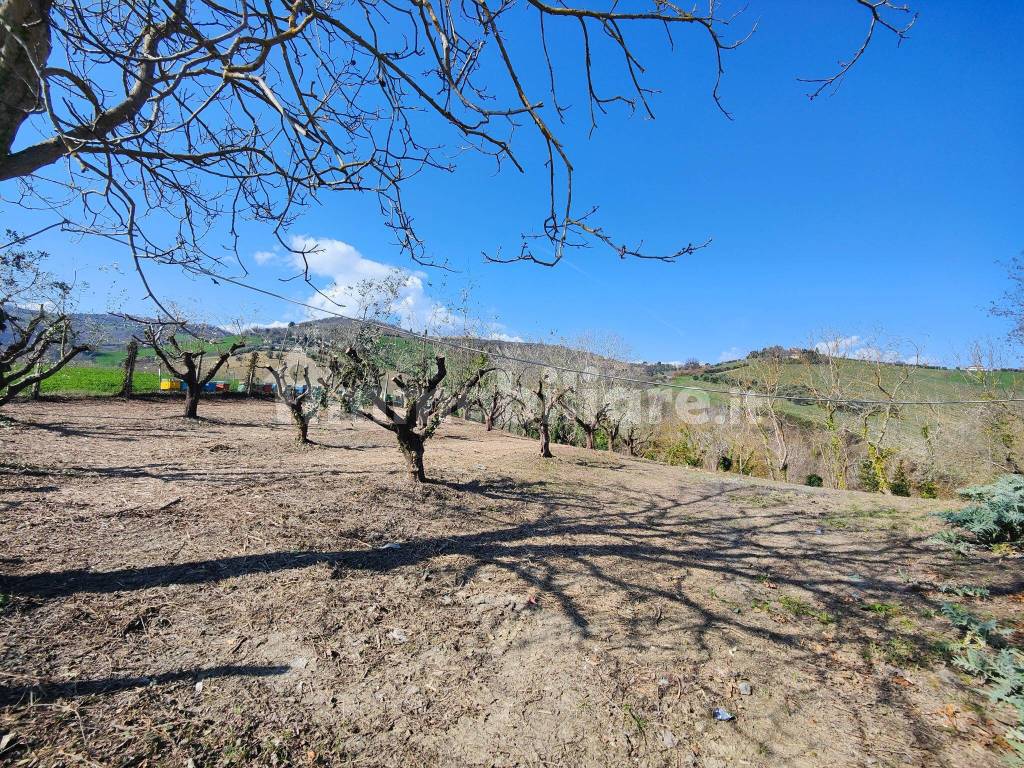 Terreno