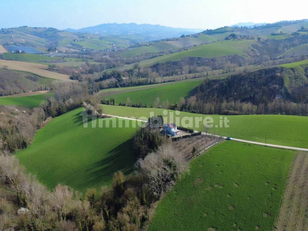 Vista