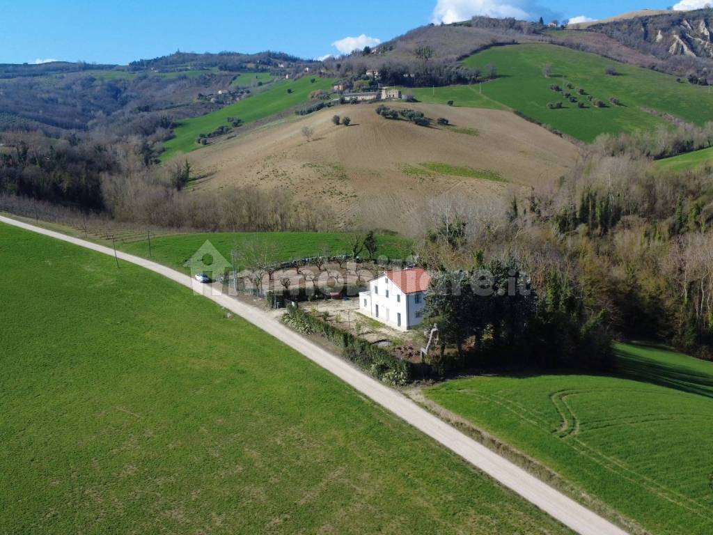 Vista