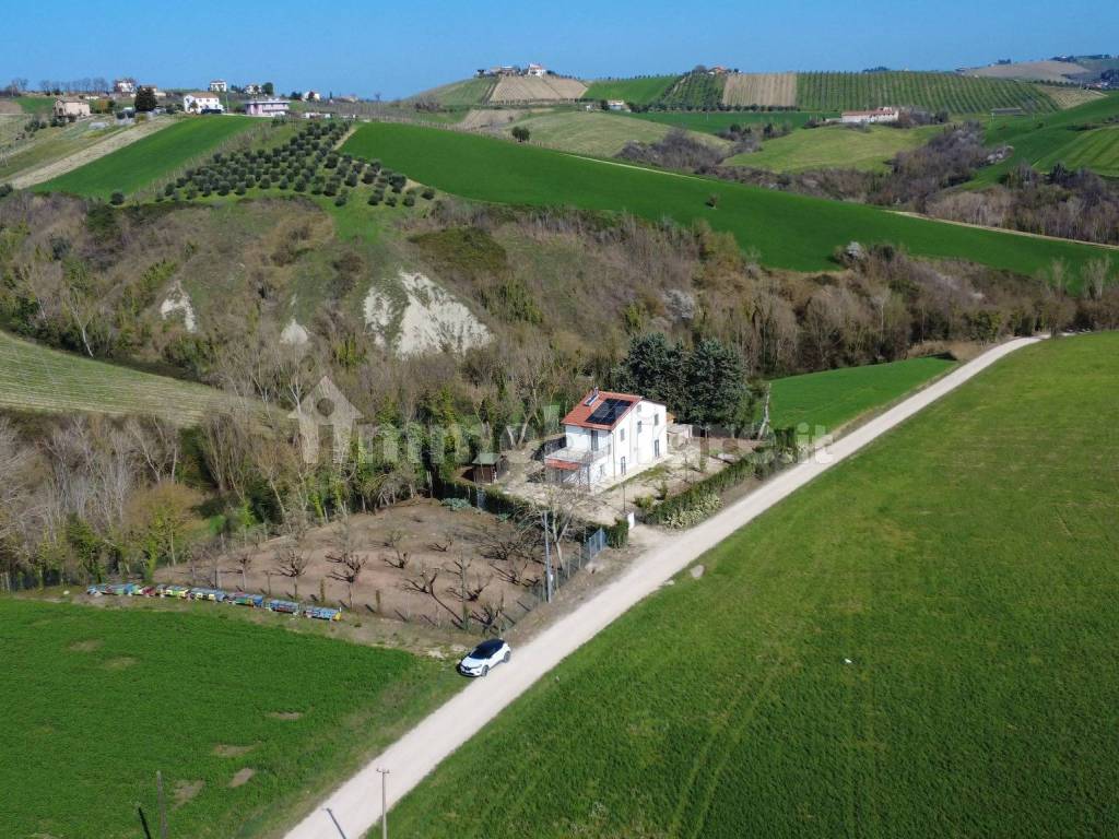 Vista