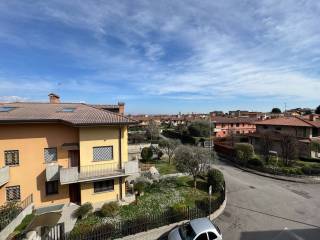Vista