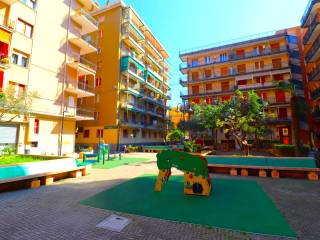 Zona