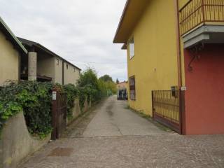 Zona