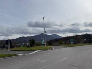 Zona