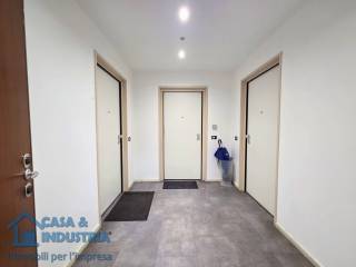 Ingresso