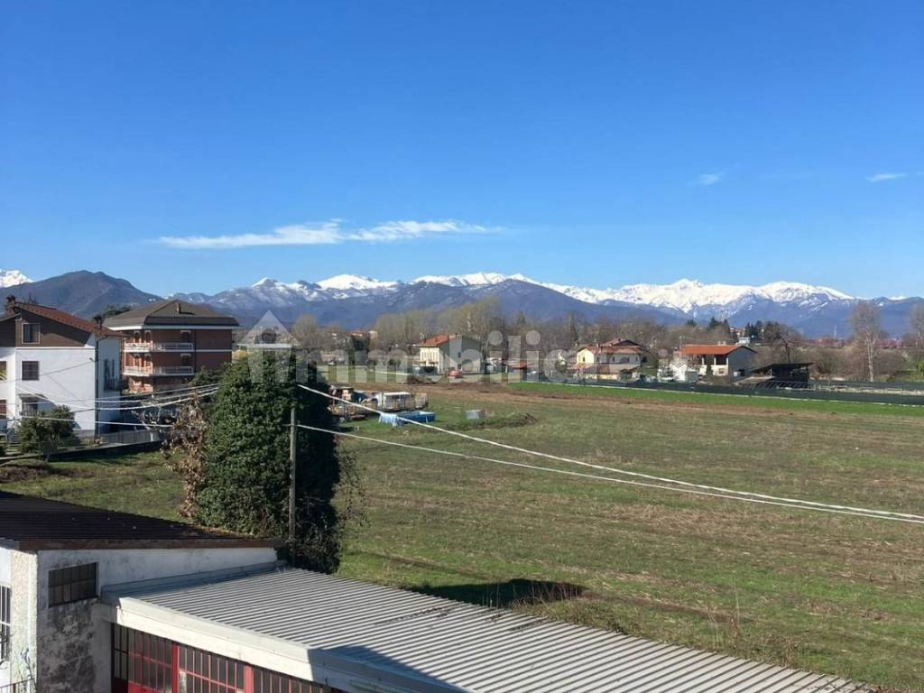 Vista