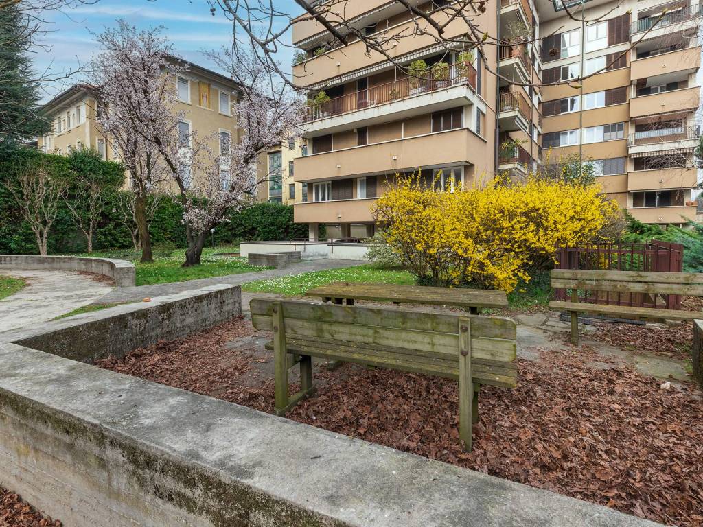 Giardino