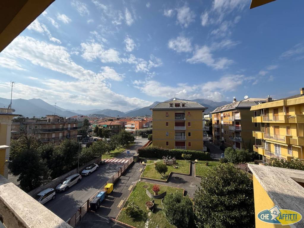 Vista