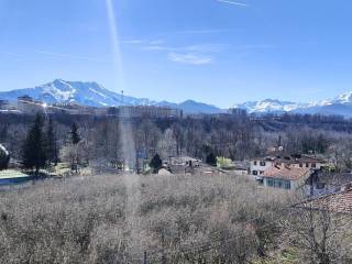 Vista