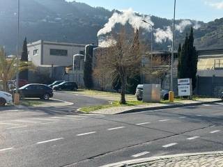 Zona