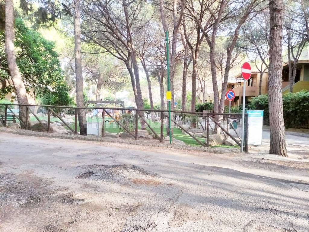 Zona