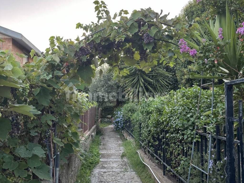 Giardino