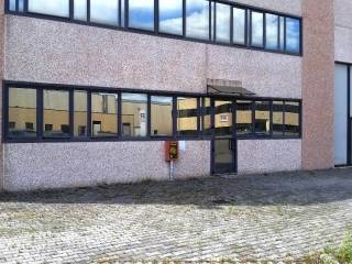 Ingresso