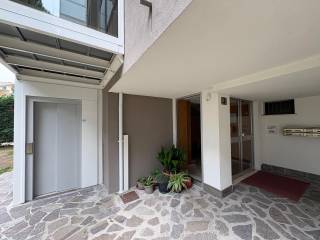 Ingresso