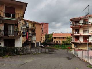 Zona