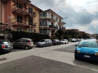 Zona