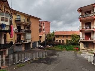 Zona