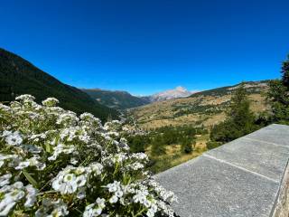 Vista
