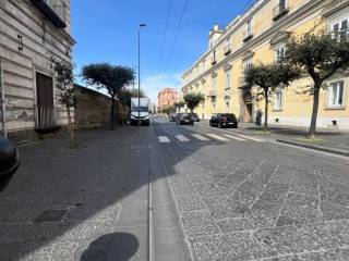 Zona