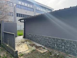 Ingresso