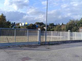 Zona