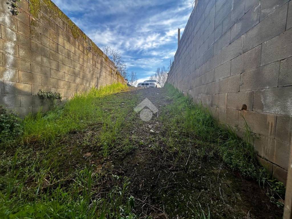 Terreno