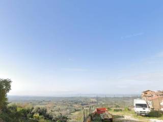 Vista