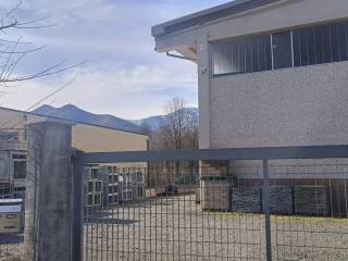 Zona