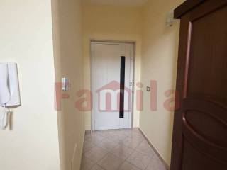 Ingresso