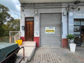 Ingresso