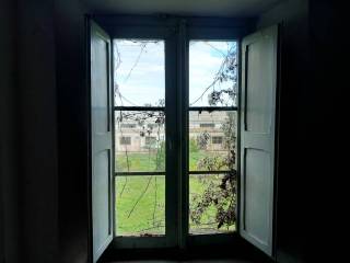 Vista