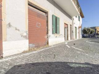 Zona