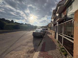 Zona