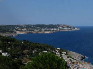 Vista